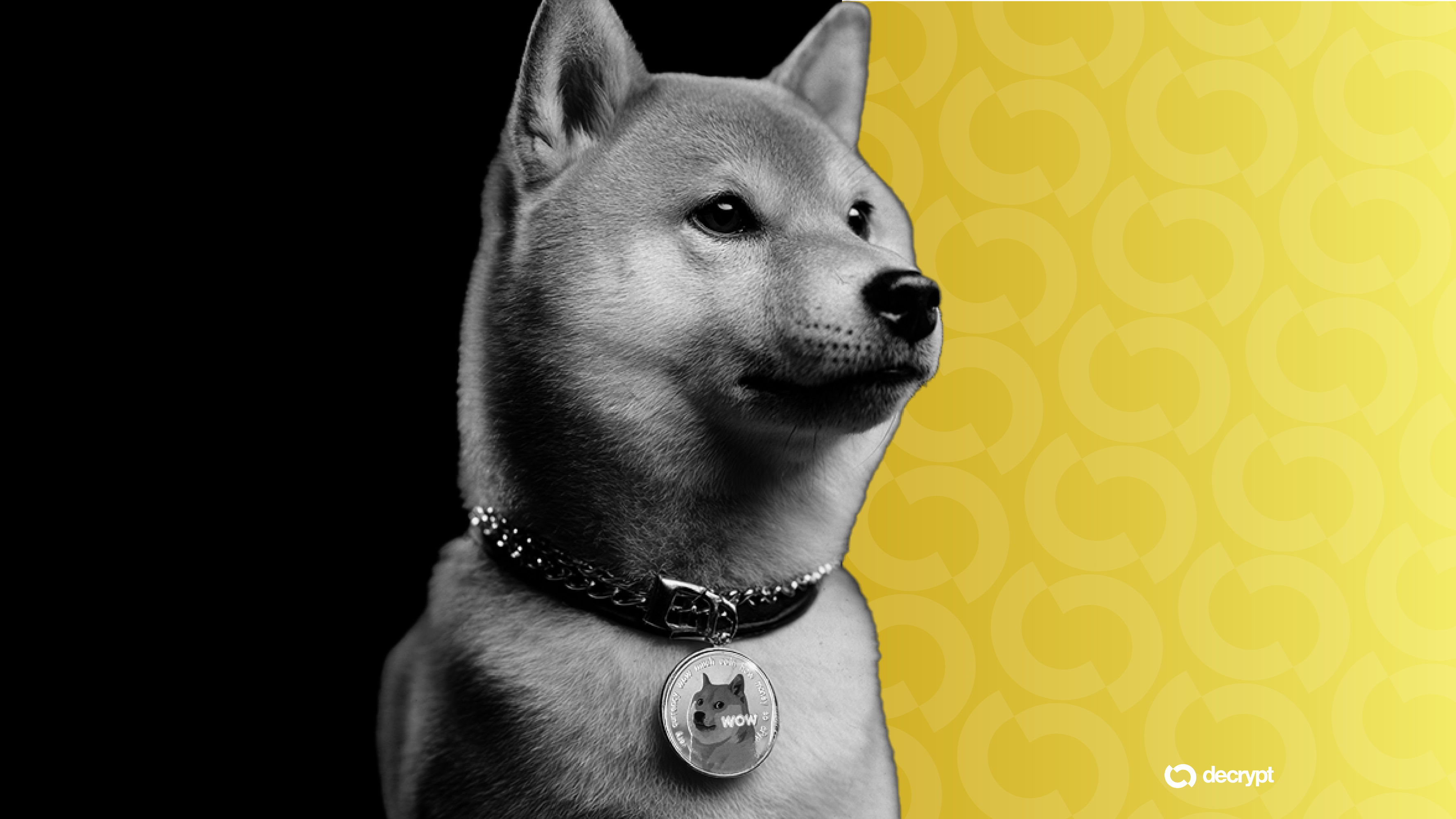 MetaWinners NFT odds prize pool